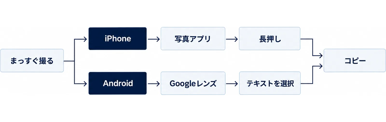 左端のまっすぐ撮るから右へ進み、iPhoneは写真アプリと長押し、Androidはグーグルレンズとテキストを選択という二つの道に分かれ、どちらもコピーに合流する図